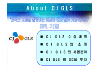 [경영정보, mis] CJ GLS 의 SCM-13