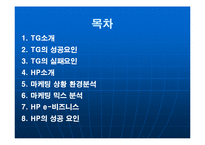 [이비즈니스개론] tg삼보와 hp기업 비교 분석(e비지니스)-2