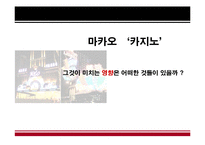 [국제관광] 마카오 `카지노산업`-6