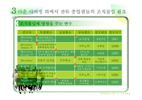 [조직행동] 다운사이징 하에서의 조직몰입-15