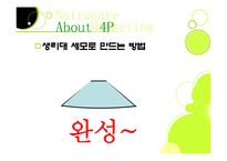 [마케팅] 유기농 생리대 나트라케어-17