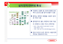 [경영정보] 삼지전자 MIS 분석-15