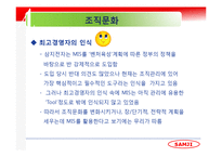 [경영정보] 삼지전자 MIS 분석-18