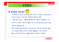 [경영정보] 삼지전자 MIS 분석-20