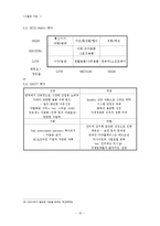 [경영전략] 급변하는 인터넷 비즈니스 환경에서 G마켓(지마켓)의 위상 강화 전략 탐색-16