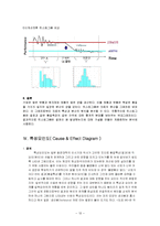 [품질경영] QC의 7도구-12