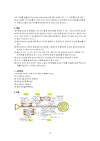 [품질경영] QC의 7도구-14
