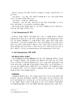 [조직행위론] 임파워먼트(Empowerment)에 대한 구조적인 분석과 기존 텍스트들의 사례-6