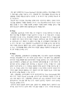 [경영전략] 신한은행 사례-14