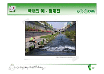 복원생태학과 생태계-20