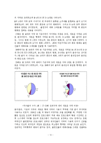 [영상론] 오락 프로그램에서의 자막 내용분석-13
