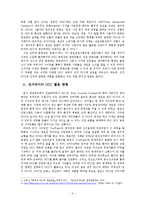 [정보화와 정치] UCC가 선거에 미치는 영향-2