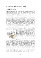 [정보화와 정치] UCC가 선거에 미치는 영향-7
