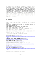 [정보화와 정치] UCC가 선거에 미치는 영향-11