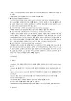 [마케팅원론] 다음 기업분석-13