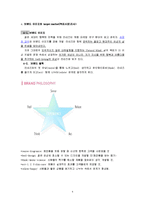 [마케팅조사] [마케팅조사론]아모레퍼시픽 `라네즈` 마케팅전략 분석 및 보완점(A+리포트)-8