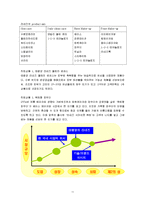 [마케팅조사] [마케팅조사론]아모레퍼시픽 `라네즈` 마케팅전략 분석 및 보완점(A+리포트)-11