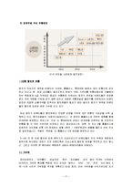 [시장조사론] [시장조사론]국내 패션의류(영캐주얼) 시장현황 분석 및 향후전망(A+리포트)-17