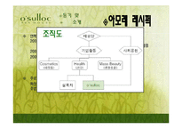 [국제마케팅] 오설록 티 하우스 미국진출전략-5