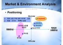 [경영전략] WIZWID 위즈위드 비즈니스전략-8
