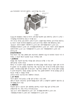 [아동발달] 영아의 지각 발달-4
