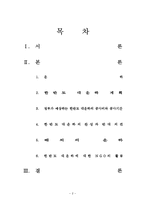[비정부조직론] 한반도 대운하와 NGO의 활동-2