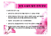 중국 송대 소설의 개념 전개양상-5