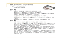 어류도감(해양생물-7