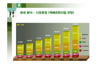 [경영전략] 전략적 혁신을 위한 대한통운의 향후 전략방안-12