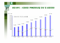 [경영전략] 전략적 혁신을 위한 대한통운의 향후 전략방안-13