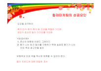 [마케팅] 컬러마케팅의 역할 및 성공요인과 사례분석-9