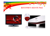 [마케팅] 컬러마케팅의 역할 및 성공요인과 사례분석-16