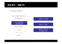 [마케팅] 렉서스(LEXUS)의 한국시장진출 마케팅전략과 성공요인-19