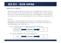 [마케팅] 태평양 아모레퍼시픽(AMORE PACIFIC)의 마케팅전략-11