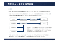 [마케팅] 태평양 아모레퍼시픽(AMORE PACIFIC)의 마케팅전략-12