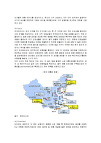 [마케팅] 한국타이어의 중국진출 마케팅과 새로운 전략제안-14