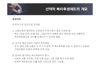 [인적자원관리] 선택적 복리후생제도의 유형 및 효과와 기업사례-12