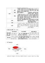 [마케팅원론] Sk엔크린과 Gs칼텍스 비교 보고서-4