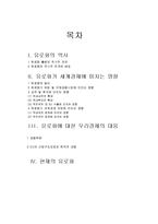 [국제금융] 유로화의 위상-16