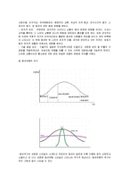 [패션디자인] [패션디자인]2009년 패션트랜드 전망(A+리포트)-2