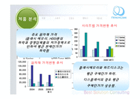 [경영학, 기업분석, 인터넷마케팅] 아이리버(레인콤) 기업분석-8