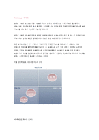 [마케팅원론] 딤체(김치냉장고) 전략사례-10