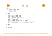 [마케팅] 여러 가지 형태의 광고 실패사례분석-2