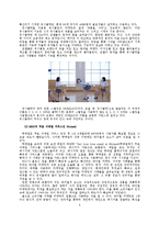 [바이럴마케팅] 인터넷 상에서의 바이럴 마케팅의 성공 포인트-5
