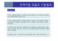 국제자본조달 레포트-10