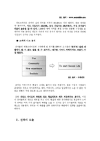 [사업계획서] Second Life(세컨드 라이프) 사업 계획서-2