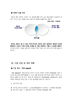 [사업계획서] Second Life(세컨드 라이프) 사업 계획서-3