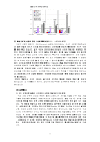 [국제경영론] 소니 플레이스테이션 SCE(Sony Computer Entertainment)-11
