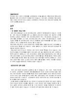 [국제경영론] 소니 플레이스테이션 SCE(Sony Computer Entertainment)-19
