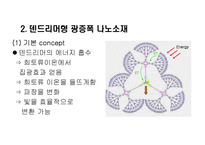 [기능재료] Dendrimer 구조물질-15